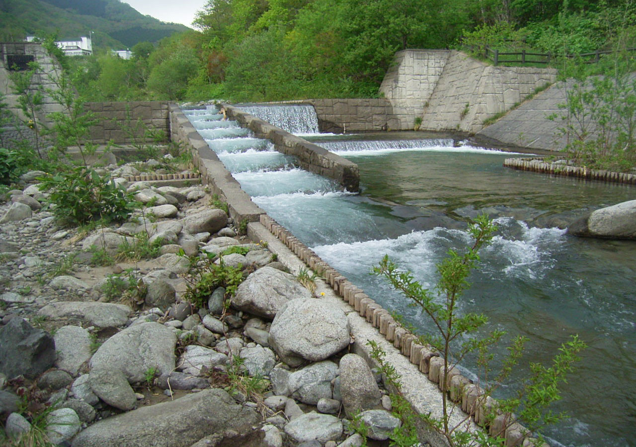 小型魚の遡上を考慮した階段式魚道